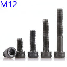 M12 - 1.75 Black 14.9 Grade Alloy Steel Allen Hex Socket Cap Head Screws DIN 912 - 光明区 - CN