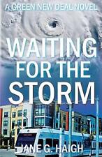 Waiting for the Storm: A Green New Deal Novel by Jane G. Haigh Paperback Book
