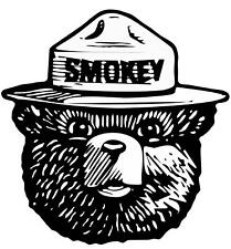 Smokey The Bear Sticker fire fighter trendy anime cute nerd art pun indie 90s