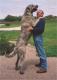 Pakistan Irish Wolfhound Breeders, Grooming, Dog, Puppies, Reviews, Articles